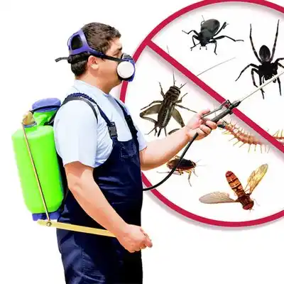 pest control Minneota
